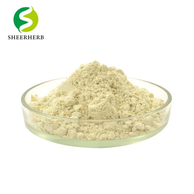 Vitamin Mineral Powder