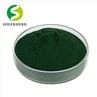 Chlorophyll